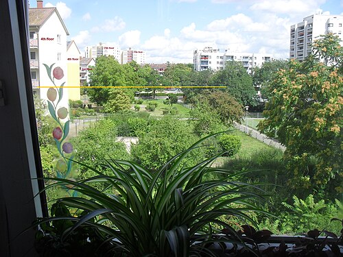 Vue depuis une fenêtre au 2ème étage d'une maison