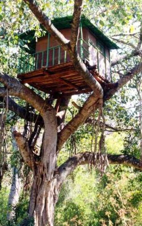Une cabane dans les arbres à Marayur, Kerala, Inde