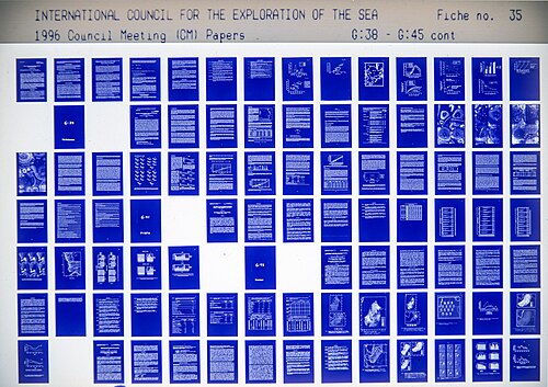 Microfiche diazo négative (24X, 98 images)