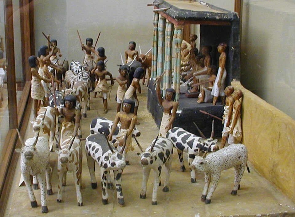 Maquettes de tombes en bois, XIe dynastie ; un haut administrateur compte son bétail
