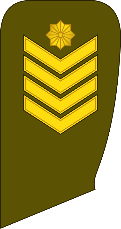 Seržantas majoras (Force terrestre lituanienne)[27]