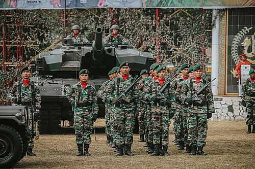 2e division d'infanterie de l'armée indonésienne Kostrad avec le motif de camouflage indonésien MultiCam