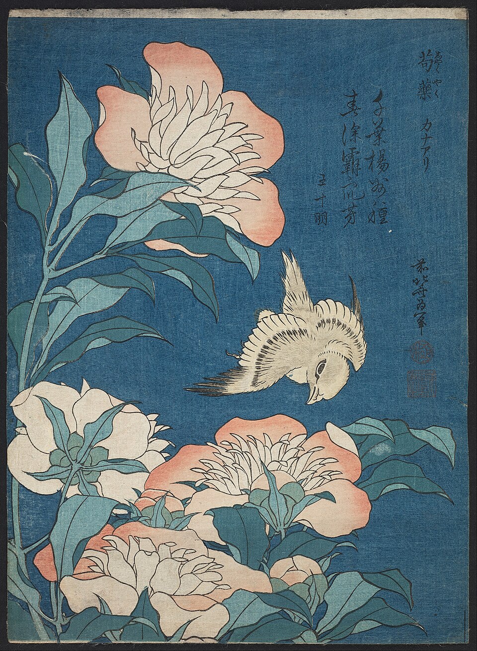 Pivoines et canaris (Kachō-ga) par Hokusai, vers 1834