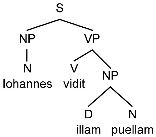 Un diagramme pédagogique affichant la syntaxe de la phrase latine « Iohannes vidit illam puellam » avec des nœuds représentant John, voit et fille, aidant à comprendre la structure de la langue.