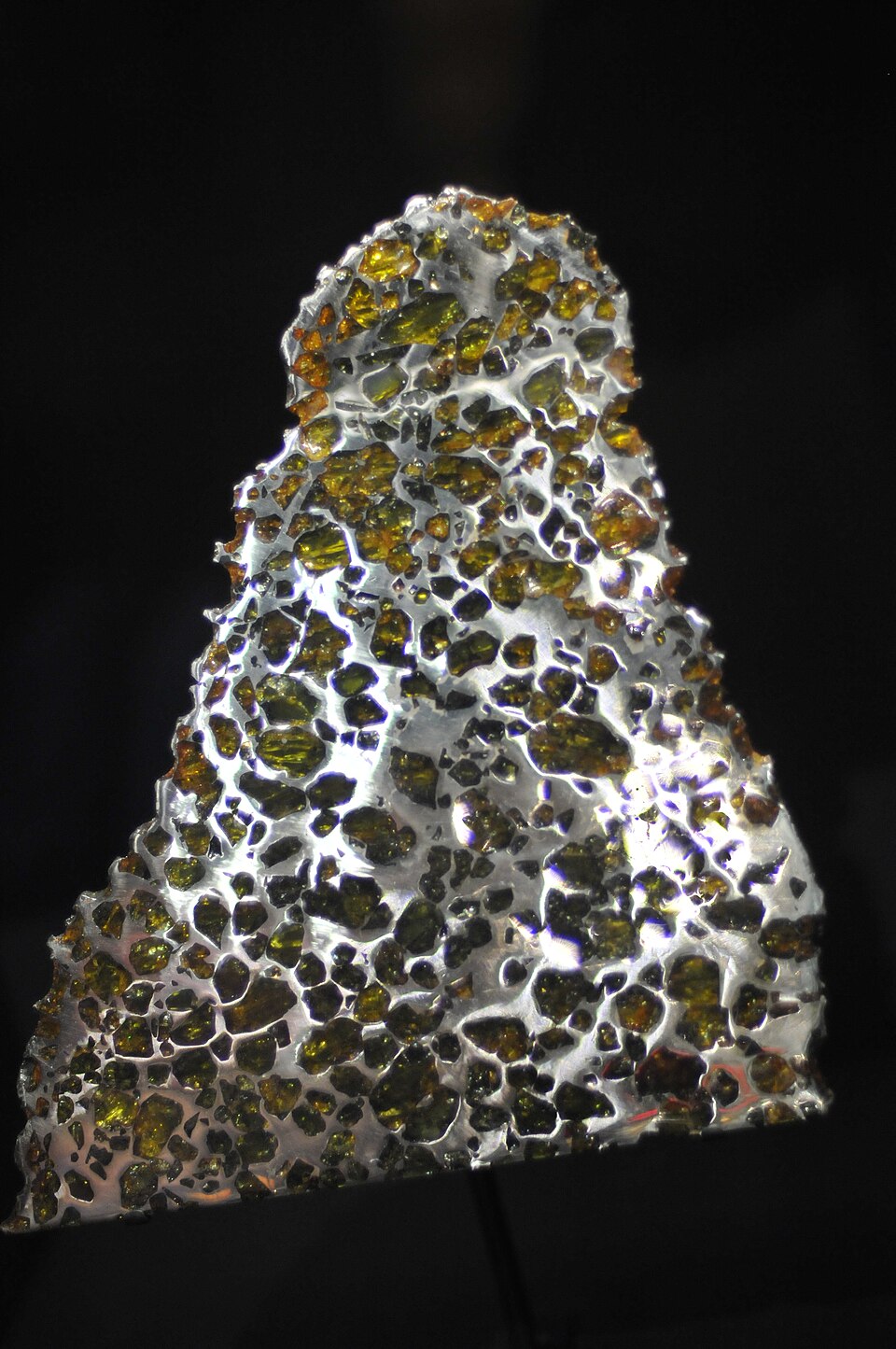 Une tranche partielle du pallasite d'Esquel
