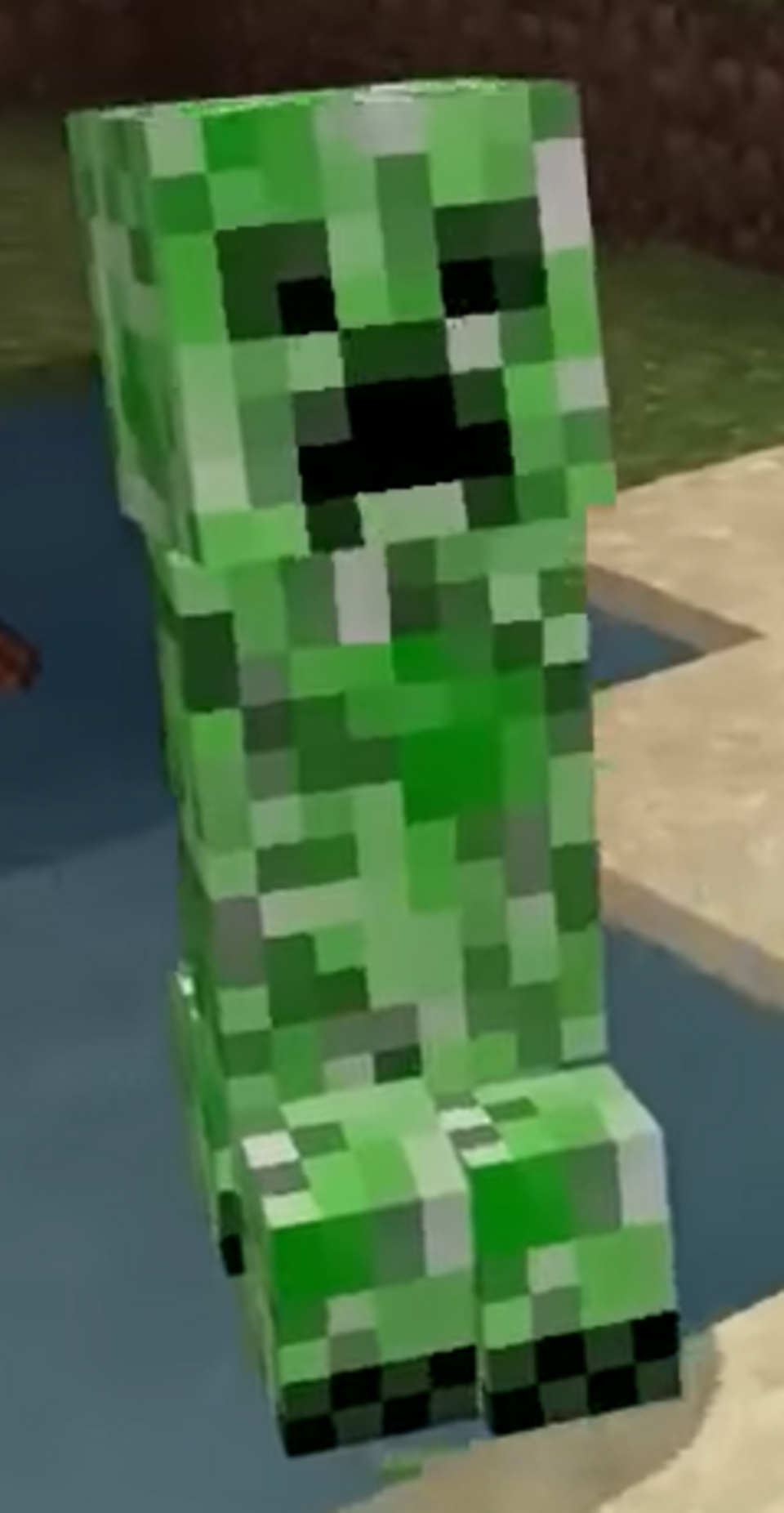 Une plante grimpante.