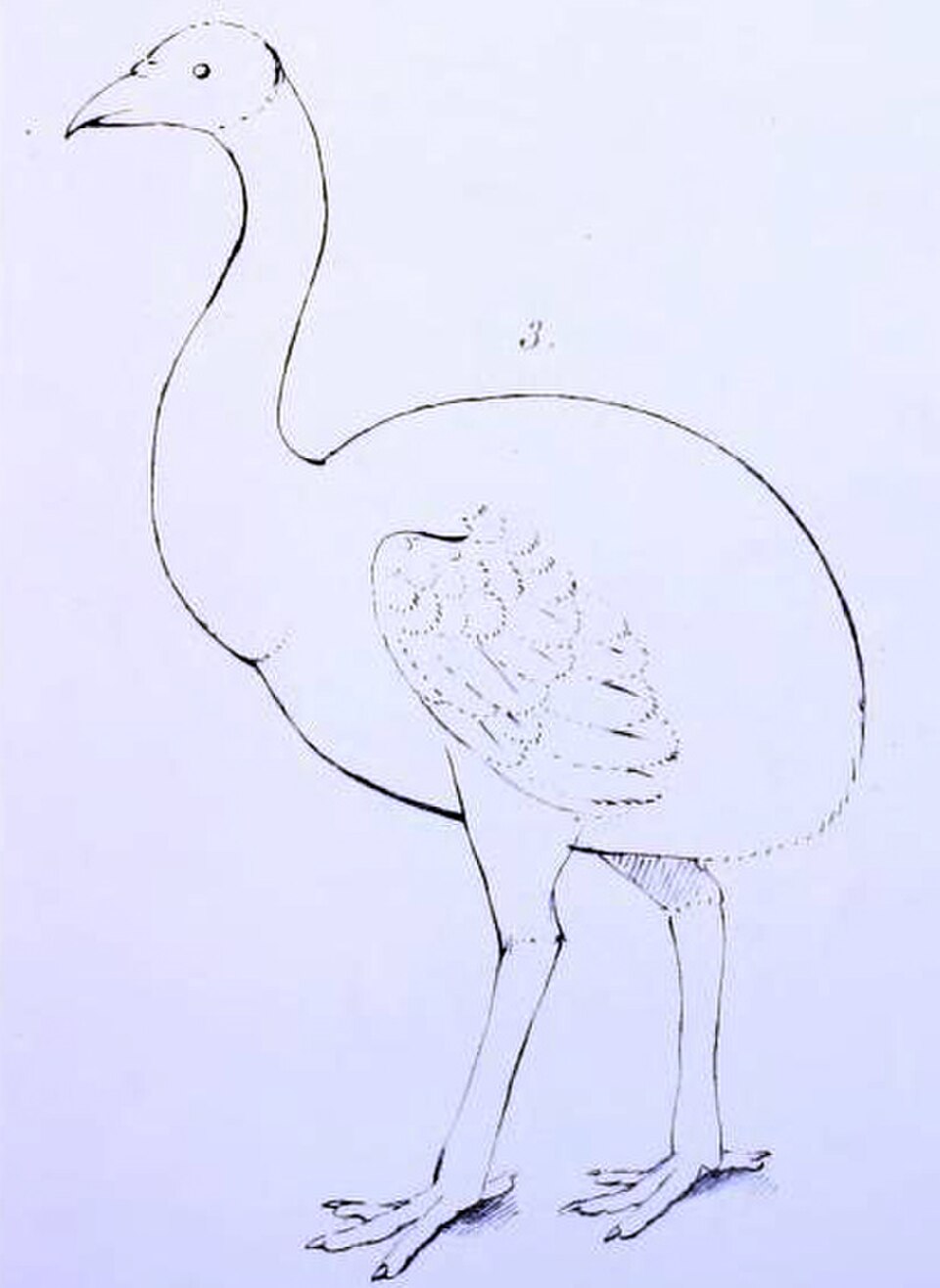 Dessin simple