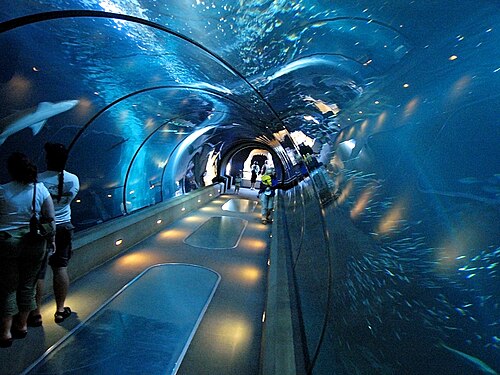 Tunnel d'observation à l'aquarium de la côte de l'Oregon