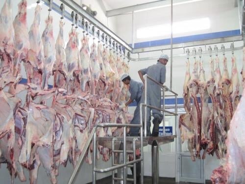 machines d'abattoirs