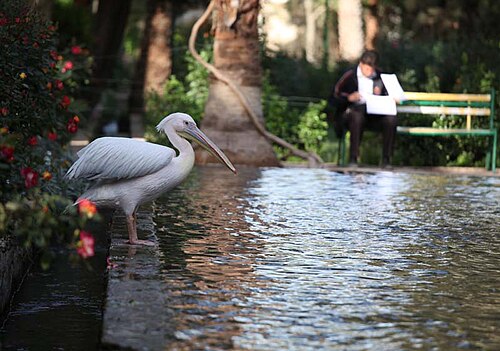 Jardin de Golshan