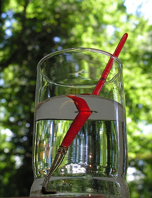 Réflexion totale d'un pinceau sur la surface eau-air dans un verre