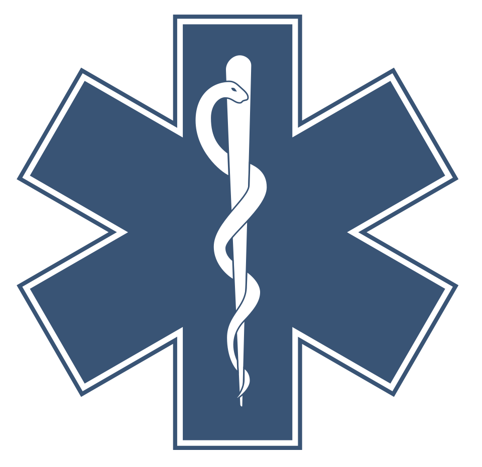 géographie de la santé