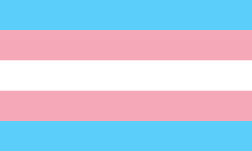 Drapeau de la fierté trans, composé de bandes horizontales (de haut en bas) bleu clair, rose, blanc (qui représente les personnes non binaires), rose et bleu clair.