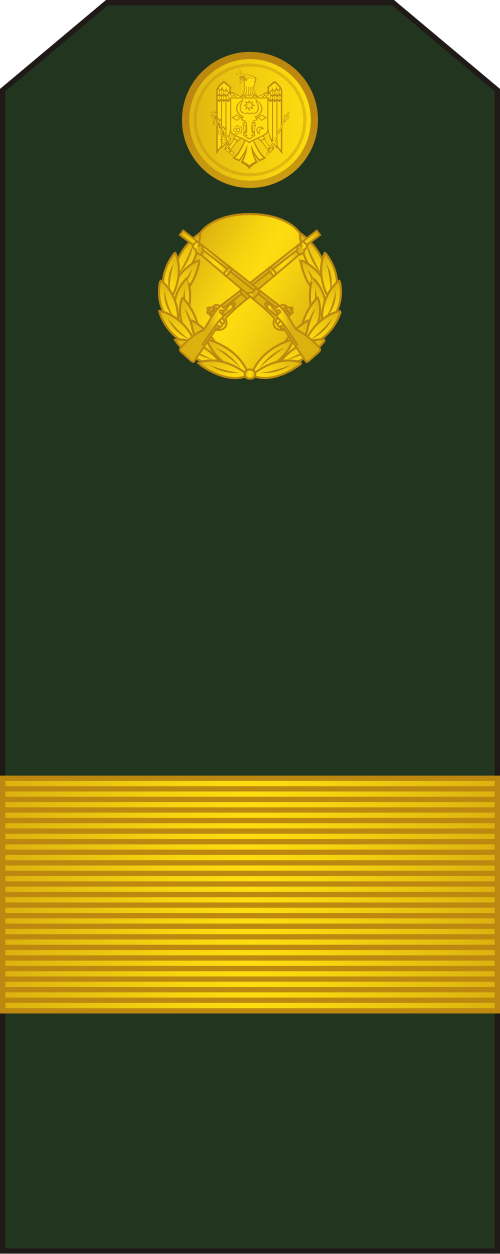 Sergent-major (Forces terrestres moldaves)[30]