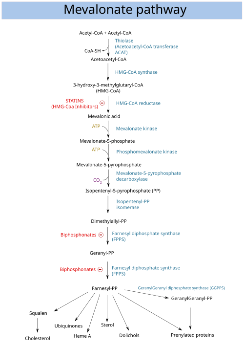 Diagramme de flux chimique