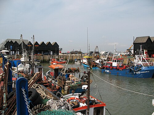 Plusieurs bateaux amarrés dans un port