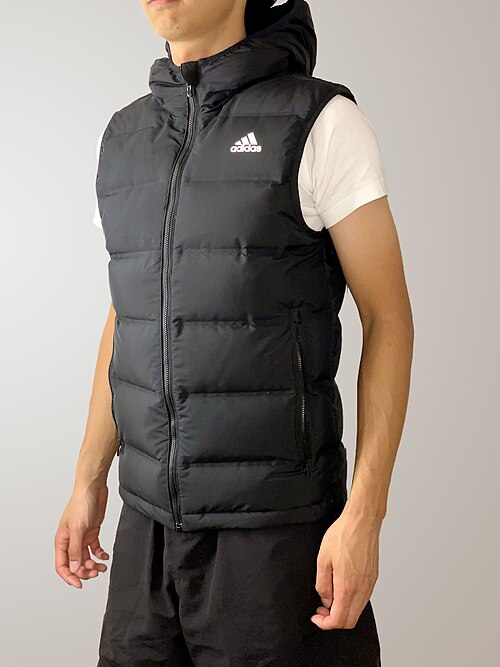 Gilet/gilet en duvet : Le même modèle que ci-dessus sans les manches