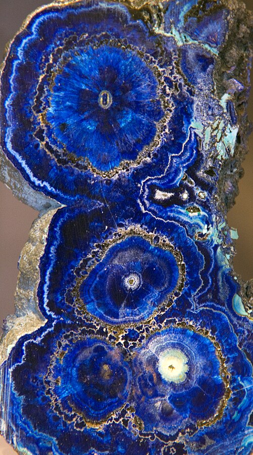 Azurite, coupe transversale de stalactites fusionnées, Bisbee, Arizona