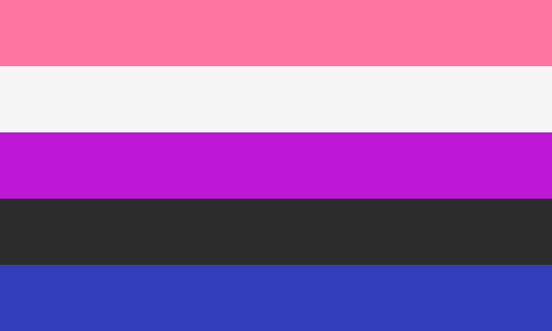 Drapeau de fierté genderfluid, composé de bandes horizontales, de haut en bas, roses, blanches, violettes, noires et bleues.