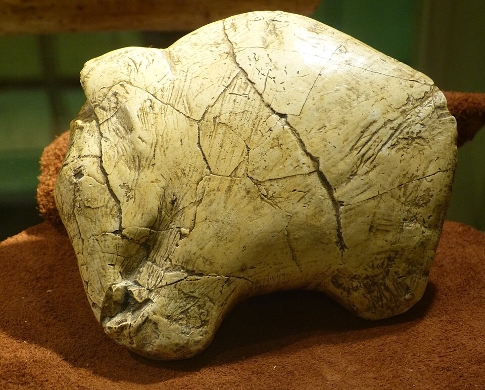 Sculpture de mammouth vieille de 26 000 ans provenant de Predmosti, en République tchèque