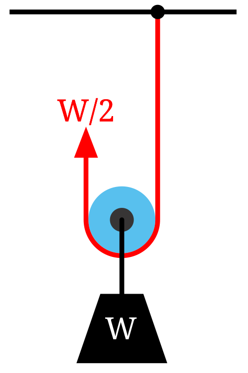 Diagramme 2 : Une poulie mobile soulevant la charge W est soutenue par deux parties de corde avec une tension W/2.