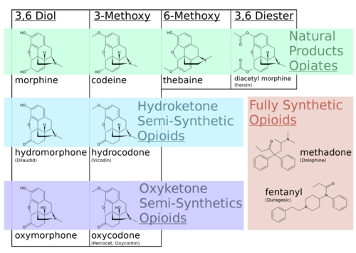 Opiacés vs opioïdes dont les structures chimiques sont indiquées. De nombreux opiacés classiques sont également appelés opioïdes dans la nomenclature moderne.