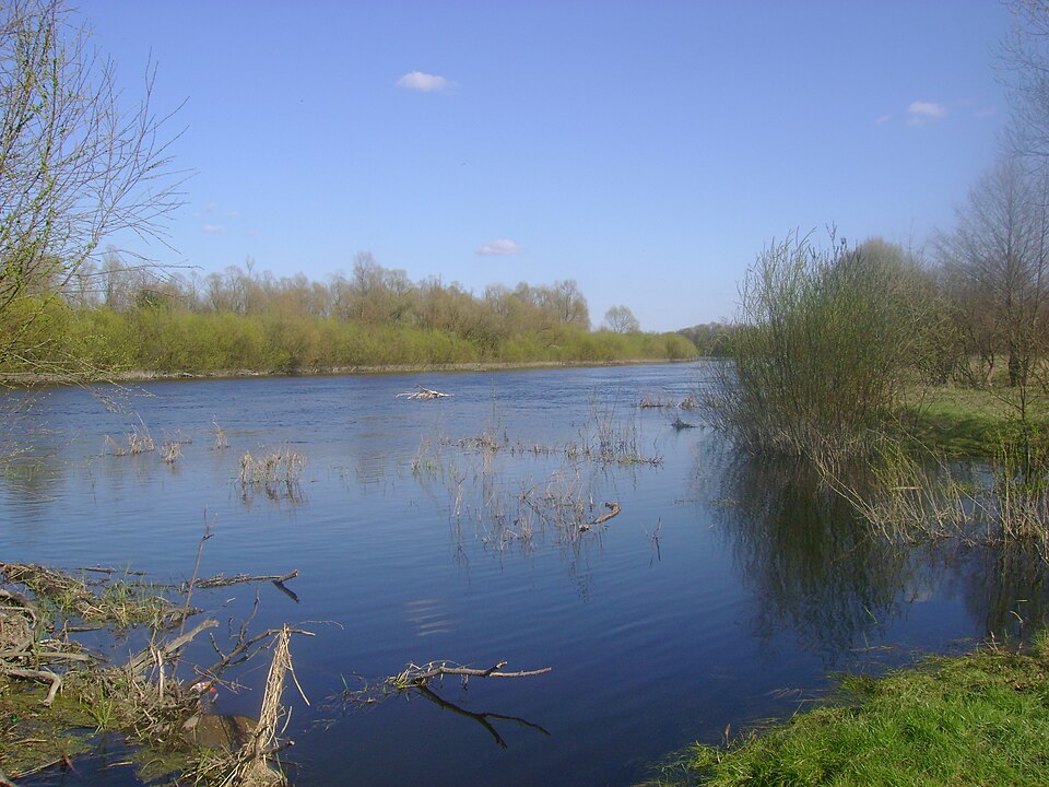 La rivière Bug, aux alentours de Serpelice