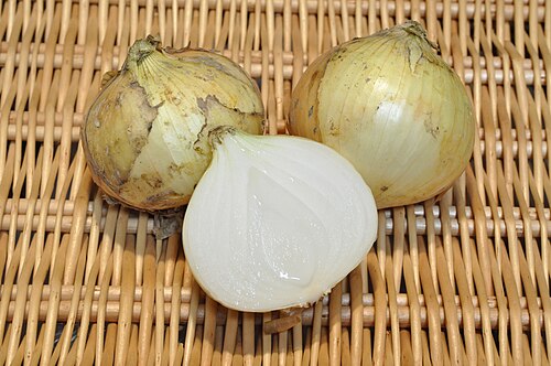 Conservation des aliments dans un bulbe d'oignon