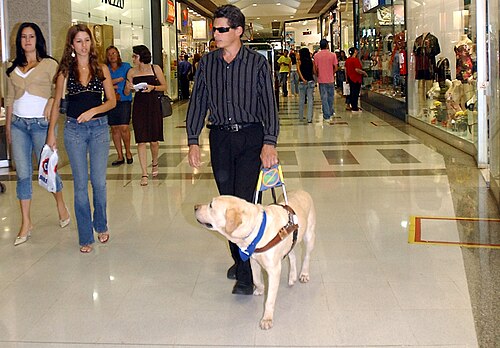 Un homme aveugle est conduit par un chien-guide à l'intérieur d'un centre commercial.