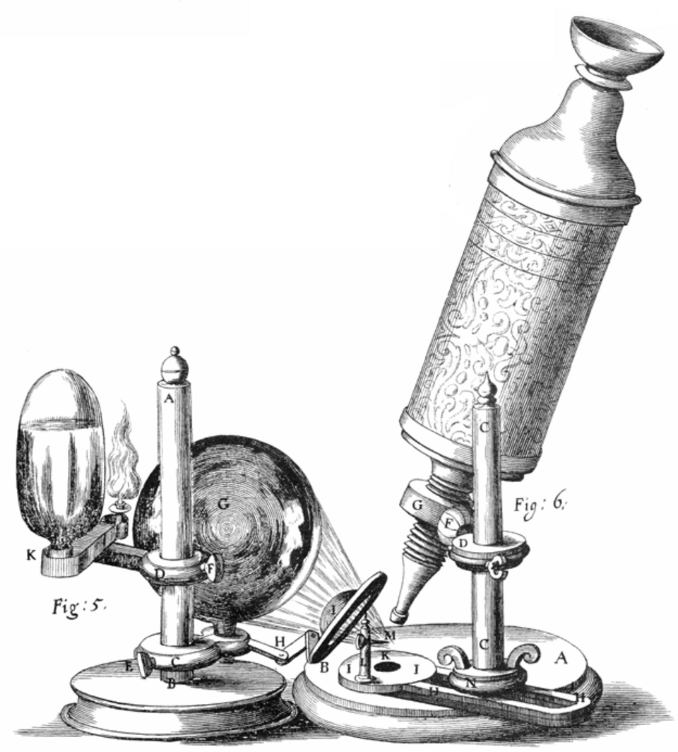 Le microscope de Hooke