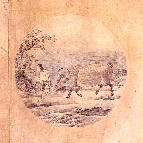 5. Apprivoiser le taureau Le fouet et la corde sont nécessaires, sinon il risque de s'égarer sur une route poussiéreuse. Bien dressé, il devient naturellement doux. Alors, sans entraves, il obéit à son maître.[web 8]