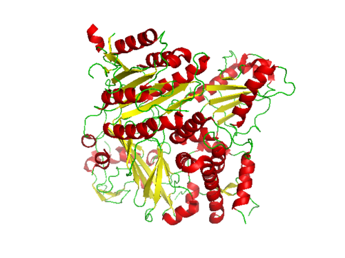 Conformation de la protéine CopII complexée avec la protéine snare Bet1 (PDB : 1PCX​).[8]