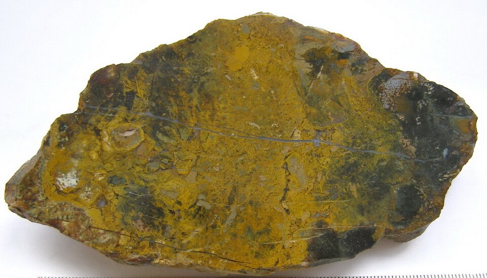 Jaspe bréchique jaune et vert, taillé et poli, Kara Dag, Crimée