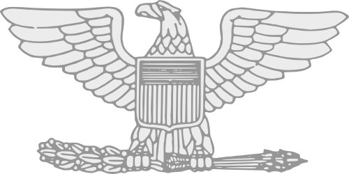 alt=alt=Colonel / Capitaine