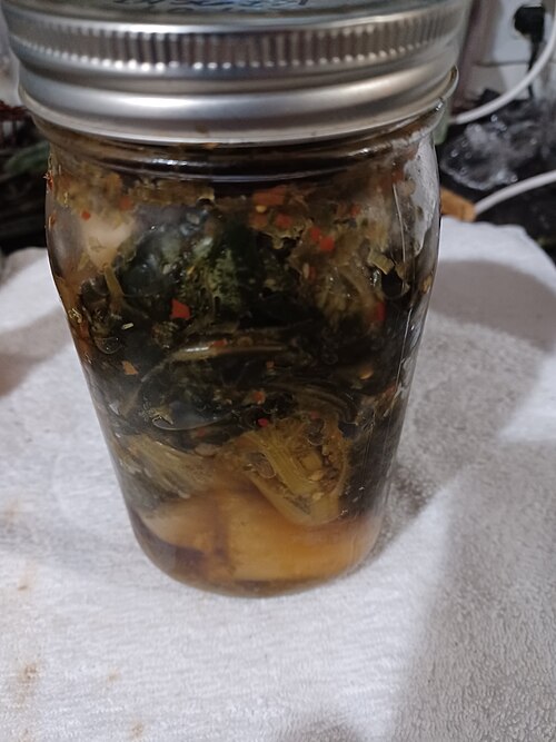 Kimchi vert fait maison, à base de bok choy et d'une pâte de piment à base d'oignons verts et de hampes d'ail