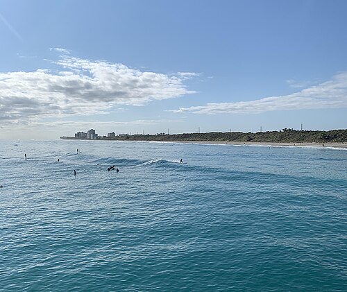 Un groupe de surfeurs surfant sur un beach break à Juno Beach, en Floride.