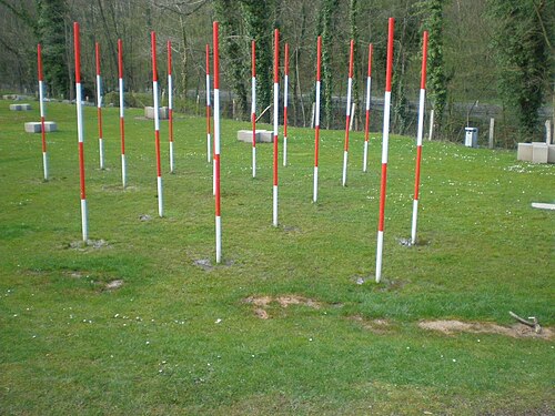 Un champ d'herbe avec 16 poteaux blancs-rouges-blancs-rouges espacés en lignes diagonales, plusieurs blocs de pierre en forme de plus derrière eux, et une route est visible derrière les arbres en arrière-plan
