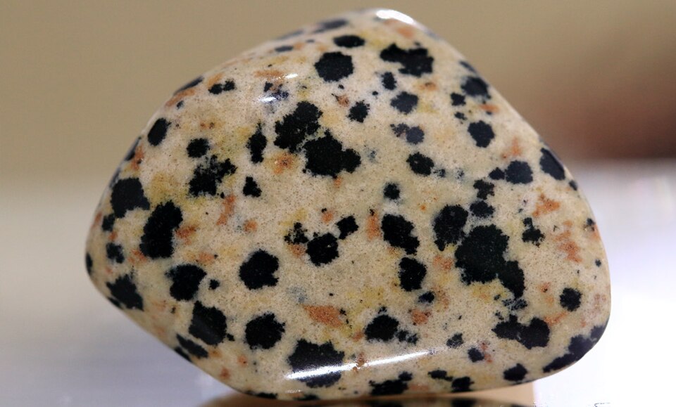 « Jaspe dalmatien » – ce n'est pas du tout un jaspe, mais une forme de la roche ignée perthite. Les taches noires sont composées d'arfvedsonite, une amphibole rare (et non, comme on le prétend souvent, de tourmaline). Galet poli.