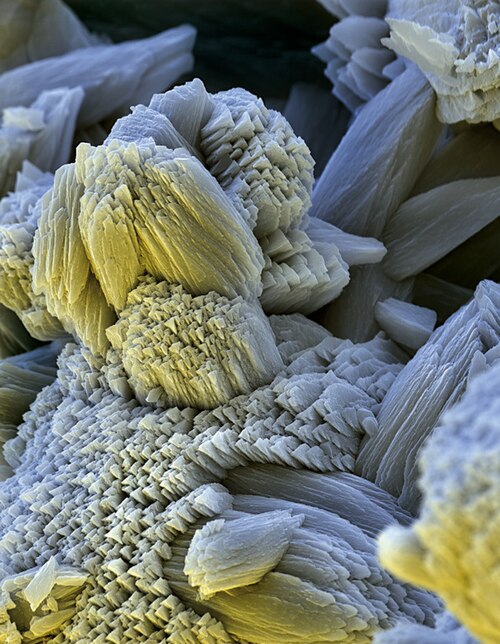 Micrographie électronique à balayage de calcaire (Le champ de vision est de 64 × 90 μm).