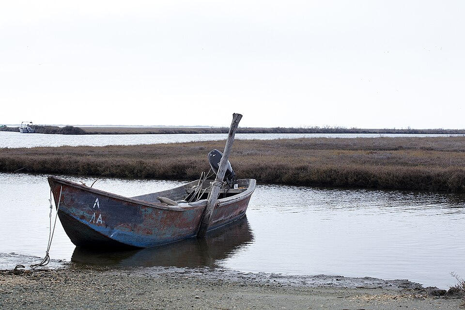 Bateau sur le delta.