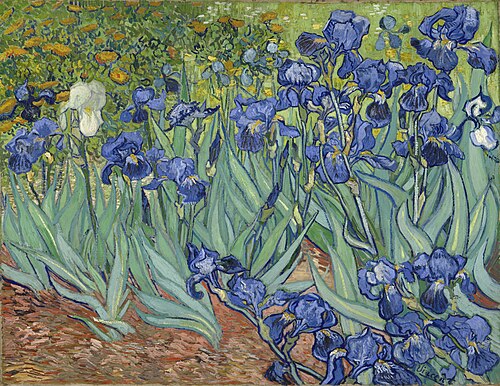 Vincent van Gogh, Iris, 1889