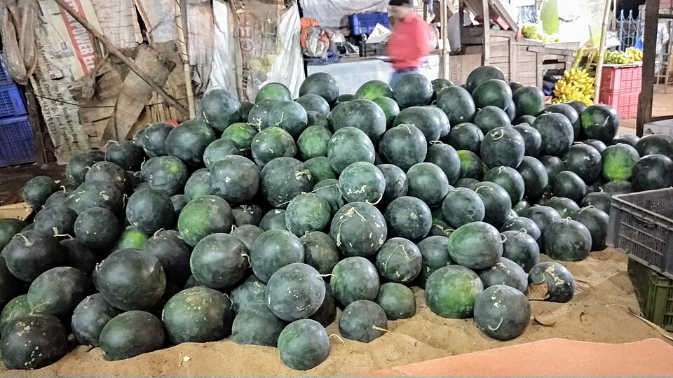 Pastèques en vente au marché Maa Kochilei, Rasulgarh, Odisha, Inde