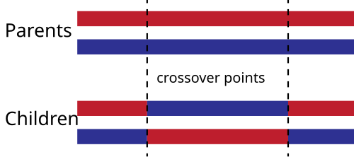 Crossover à deux points.svg