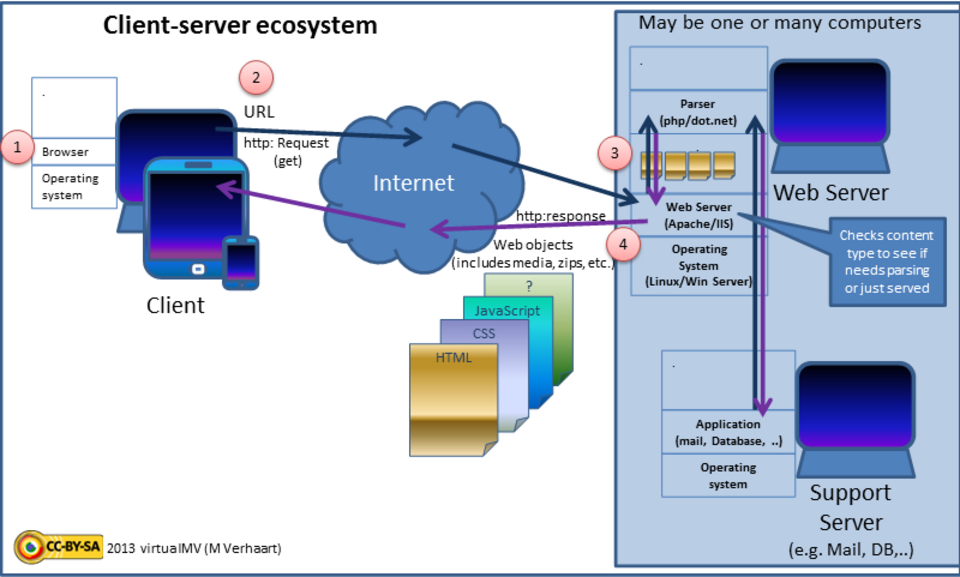 L'écosystème client-serveur comprend quatre étapes : le navigateur, la requête HTTP, le serveur web et la réponse. Le script côté serveur intervient lorsqu'une page web dynamique ou une ressource est traitée et générée par le serveur web.