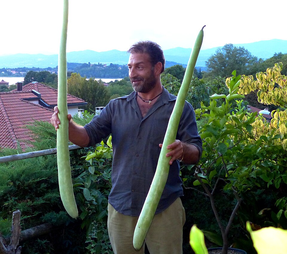 Homme avec cucuzza