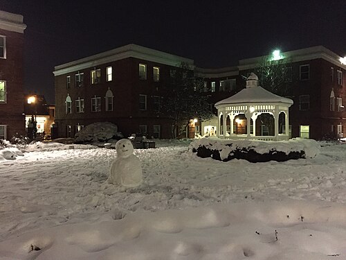 Bonhomme de neige dans la cour d'un appartement la nuit en Virginie, États-Unis