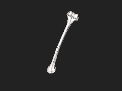 Image 3D
