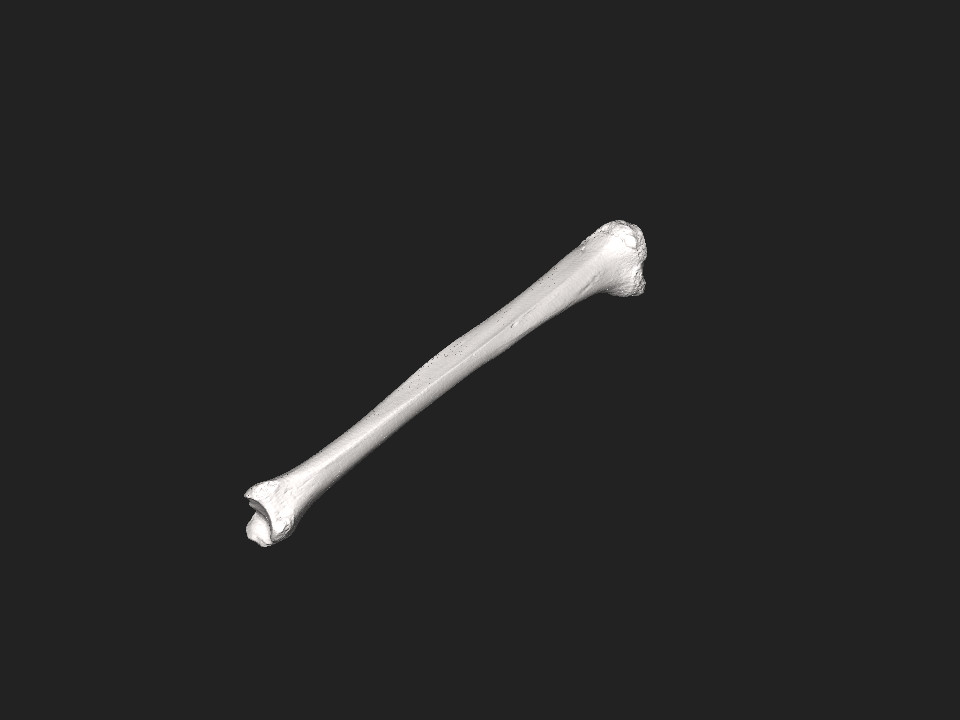 Image 3D