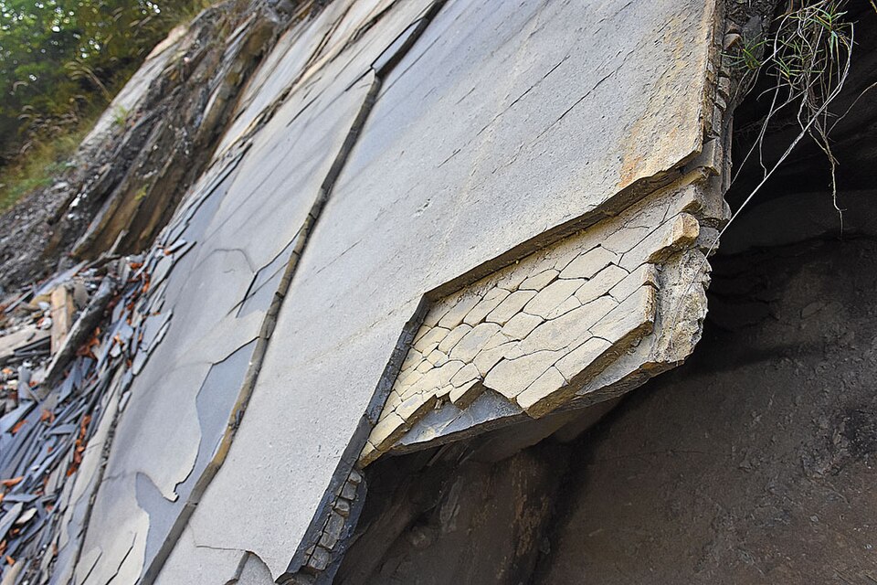 Schiste de Potokgraben, dans les Karawanks, en Autriche