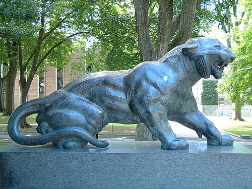 Une photo d'une statue de tigre sur le campus de Princeton
